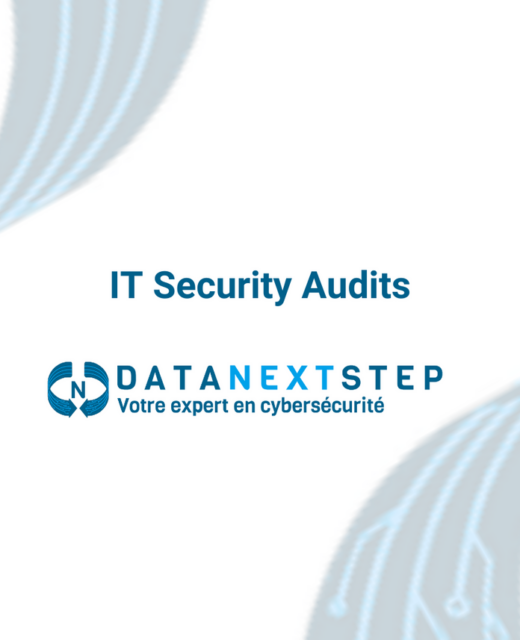 IT Security Audit